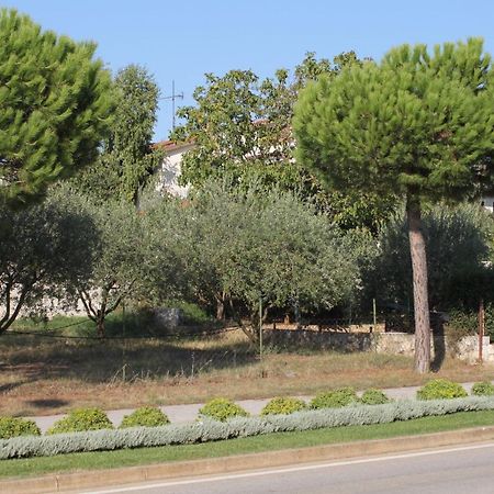 Apartments And Rooms With Parking Space Rovinj - 7170 Exteriér fotografie