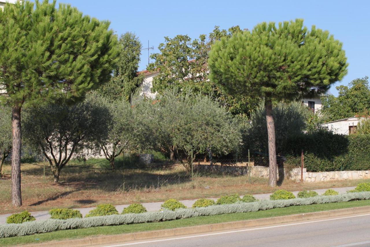 Apartments And Rooms With Parking Space Rovinj - 7170 Exteriér fotografie